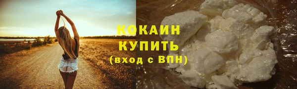 тгк Лиски