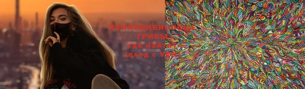 тгк Лиски